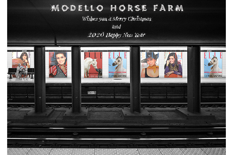 Carte de voeux Modello Horse farm 2020